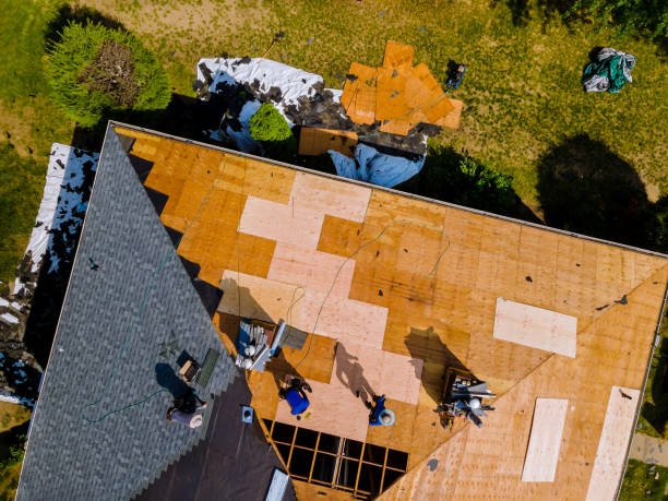 Best Flat Roof Repair Services  in Springville, AL