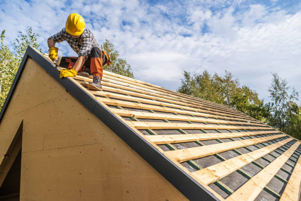 Best Roof Gutter Cleaning  in Springville, AL